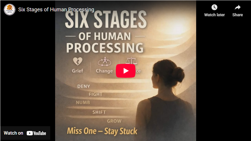 Six Stages of Human Processing